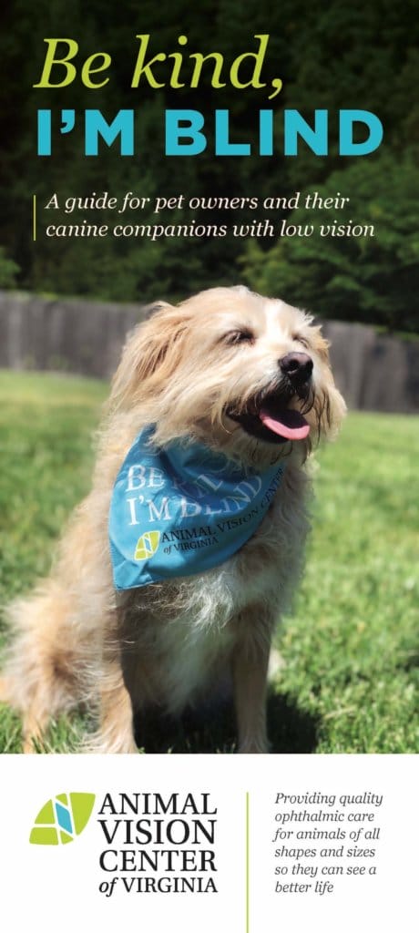 Be Kind Im Blind Brochure | Animal Vision Center of Virginia