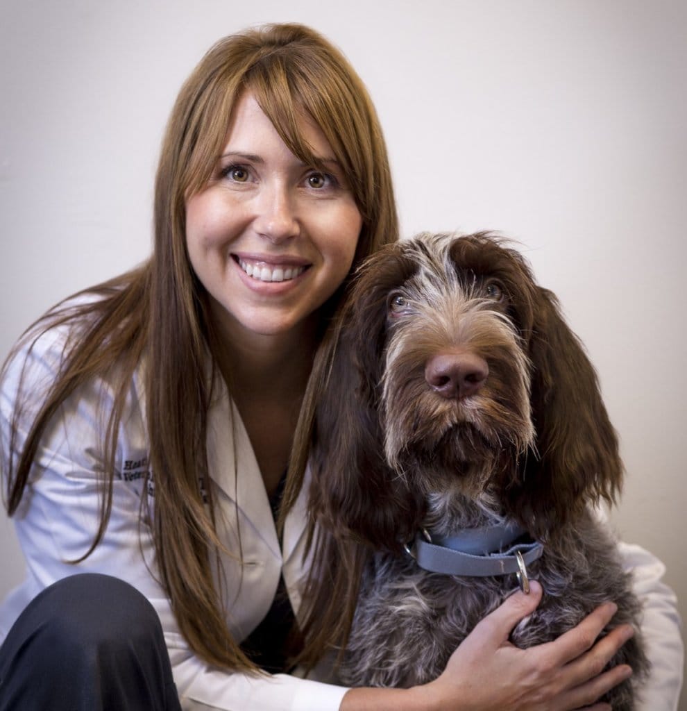 Meet Our Team Dr. Heather Brookshire Animal Vision Center of