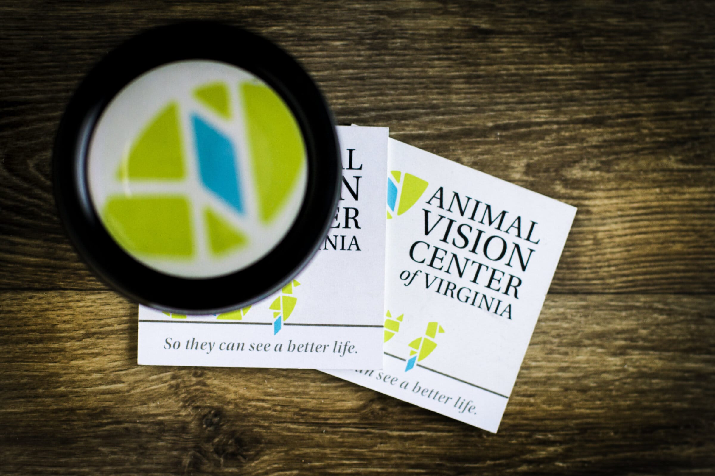  Animal Vision Center of VA