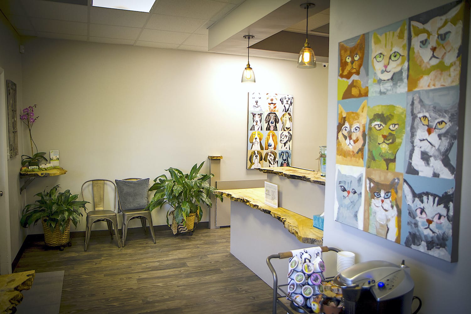 AVCVA_VirginiaBeachVA_Office_Entrance Animal Vision Center of VA