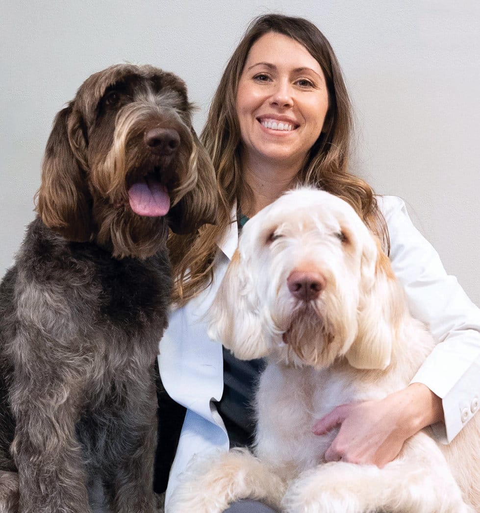 Meet Our Team Animal Vision Center Of Va